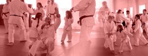 Aikido class collage